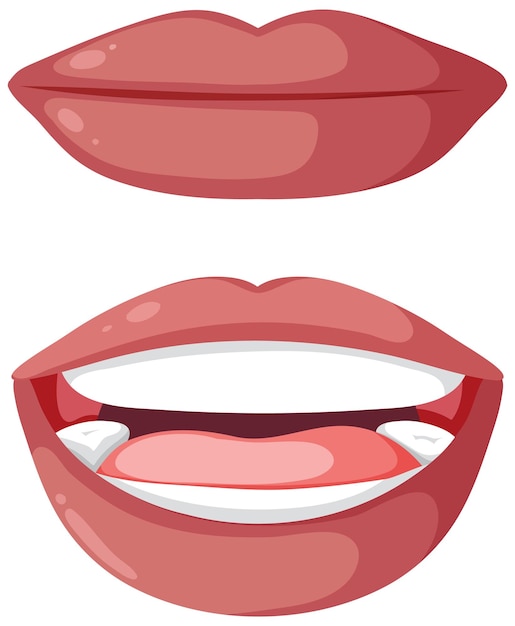 Vector illustration of closed lips and an open mouth showing teeth and tongue.