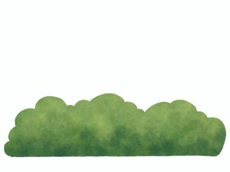 Watercolor Green Bush Border Illustration