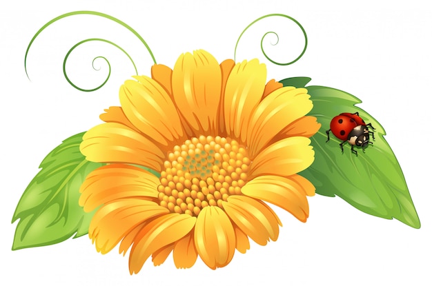 Yellow Sunflower with Ladybug - Floral Illustration
