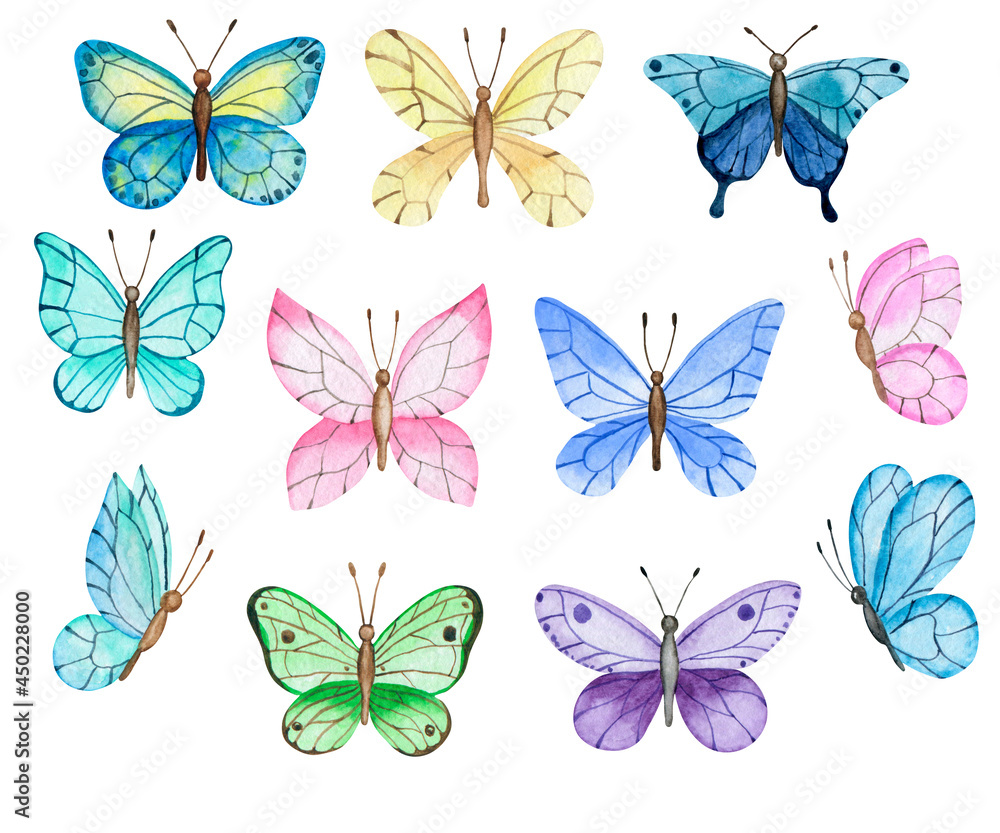 butterfly clipart