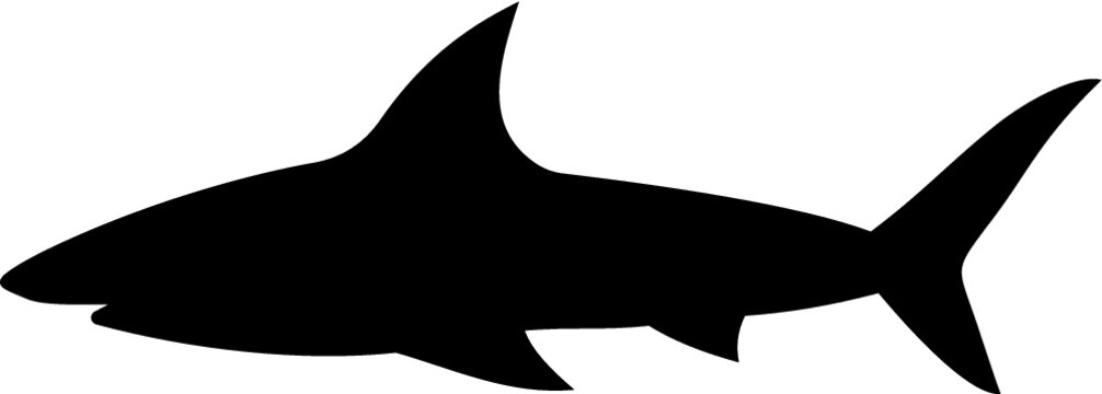 Shark Clipart Images – Browse 8,194 Stock Photos, Vectors, and - Clip ...