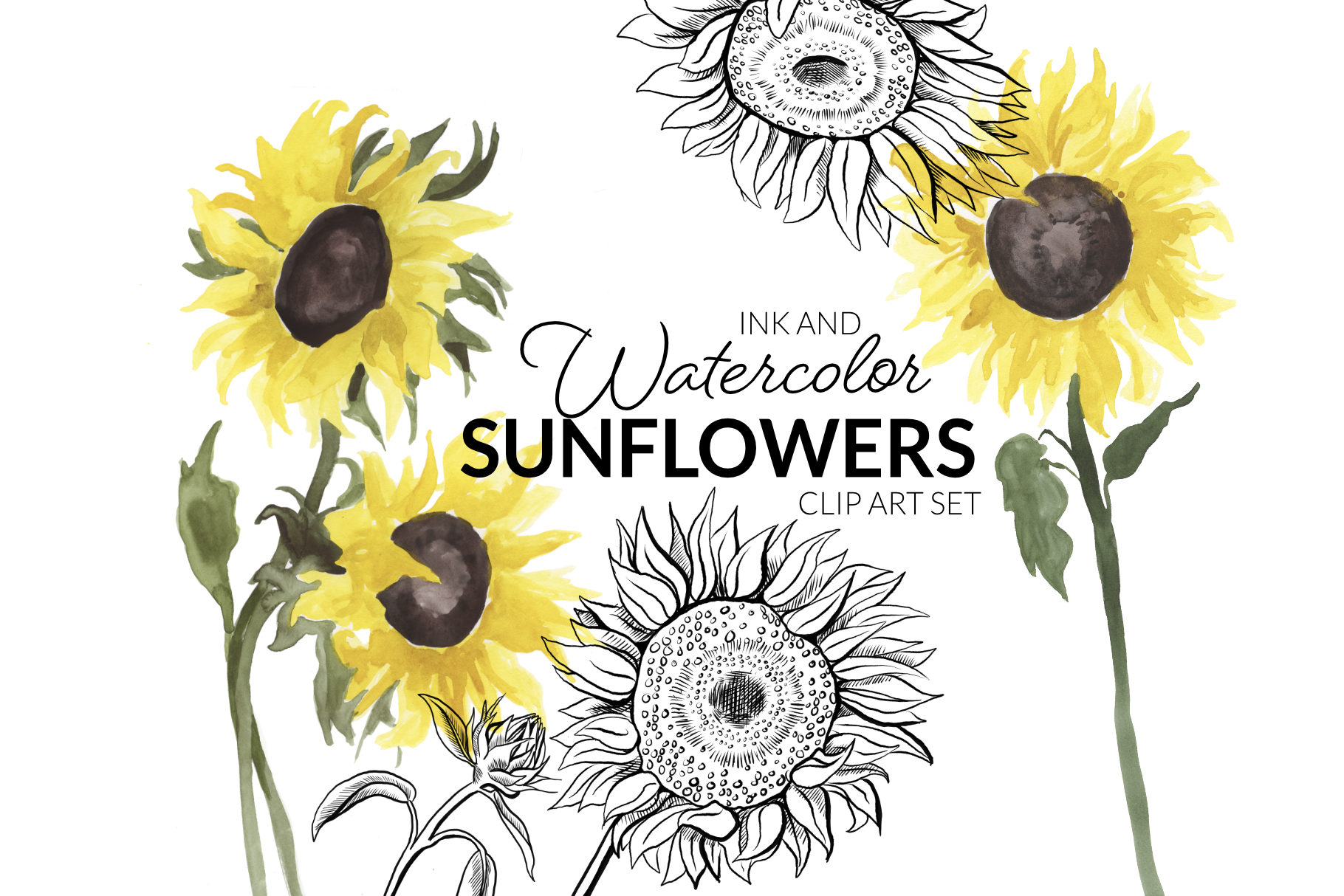 Watercolor Sunflowers Clipart | digitalpresscreation.com - Clip Art Library