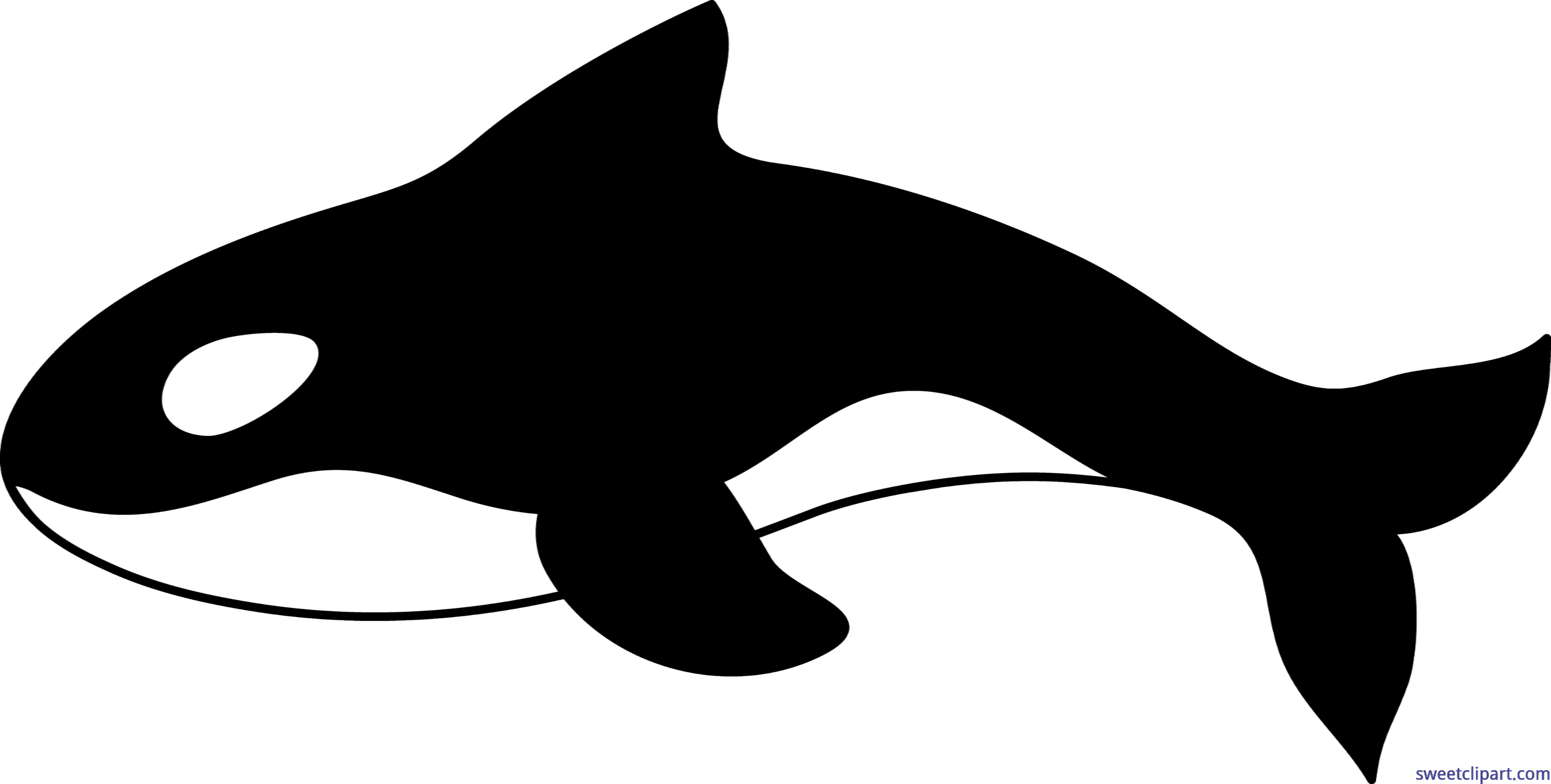 whale clipart