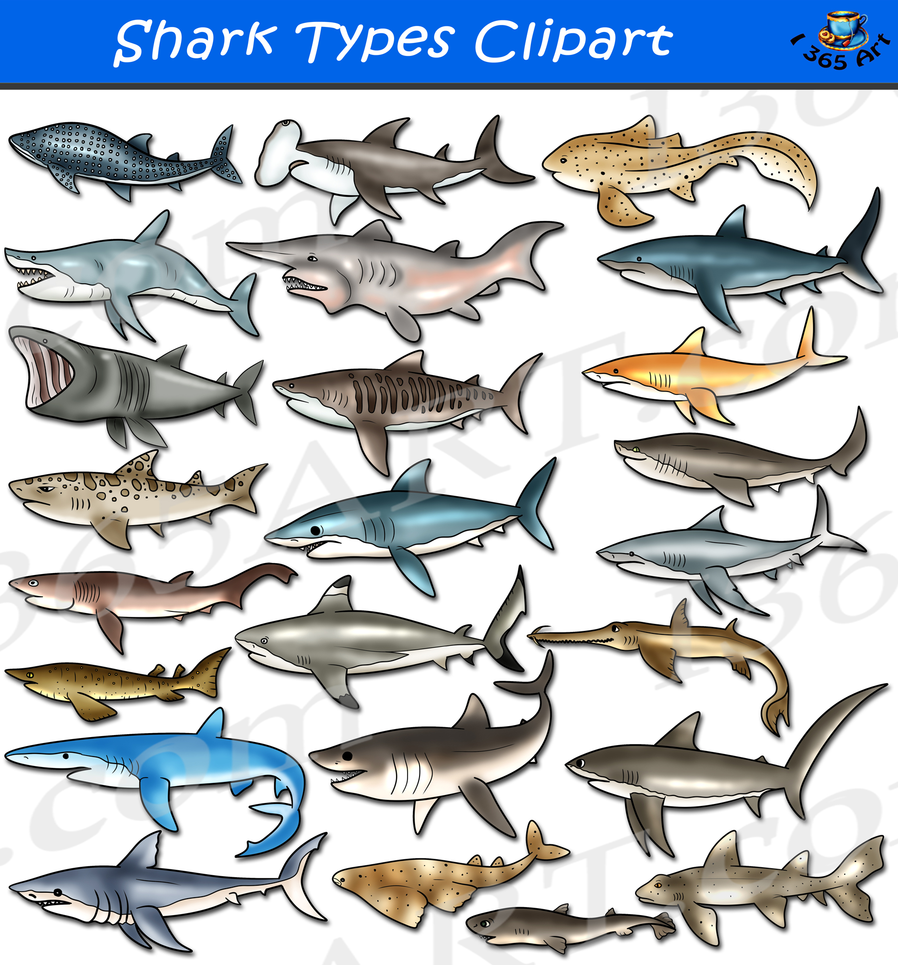 Shark Types Clipart Set Download - Clipart 4 School - Clip Art Library