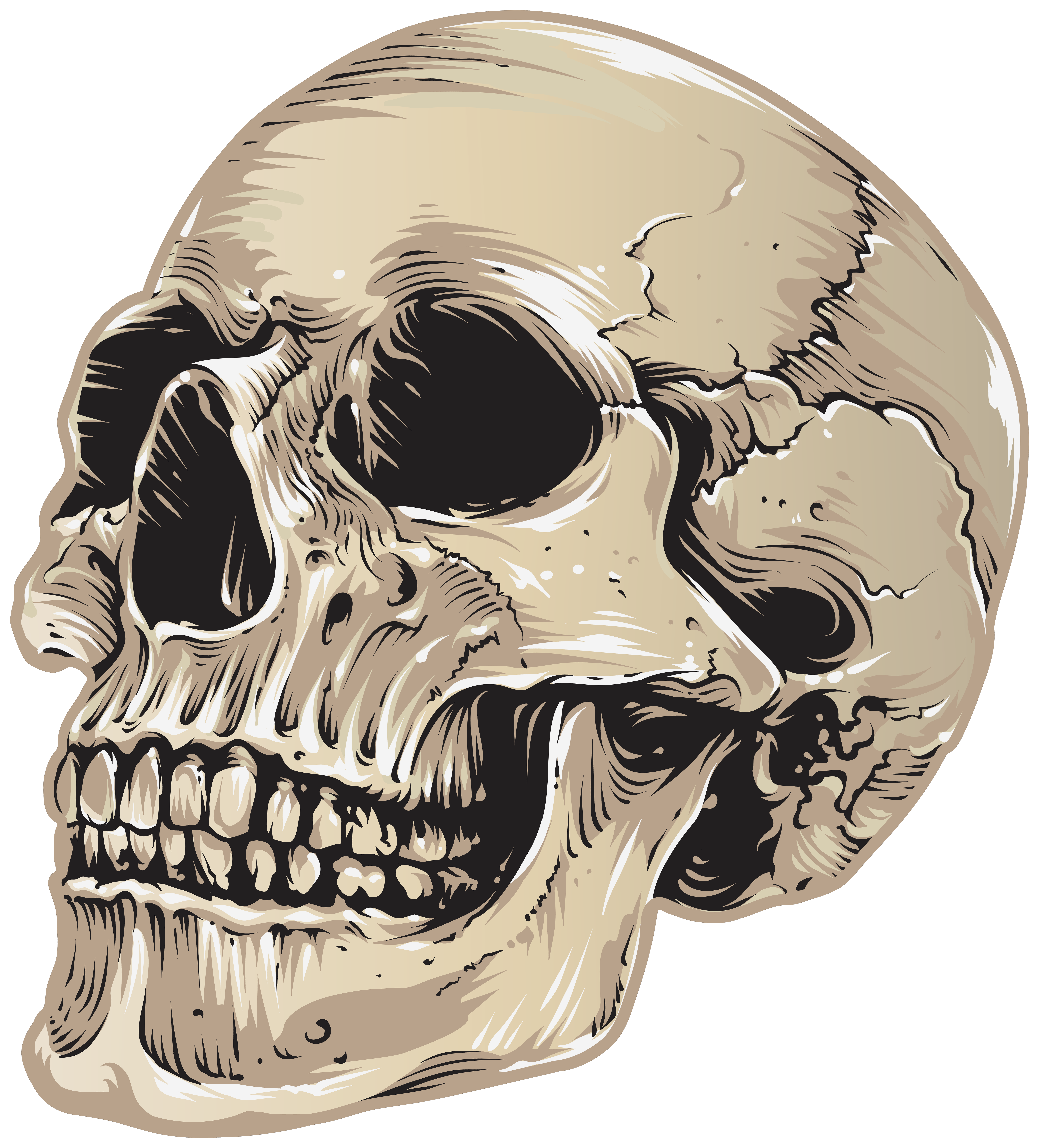 skull clipart