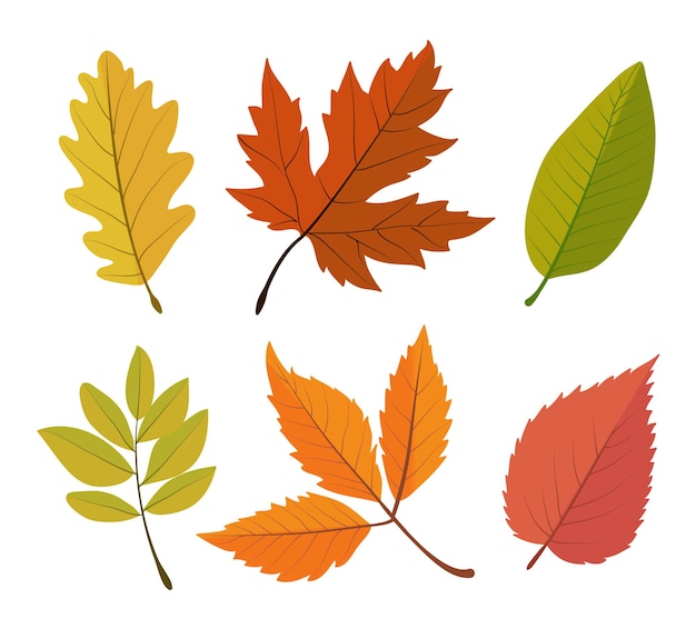 Green Leaf PNG Clip Art - Best WEB Clipart - Clip Art Library