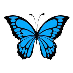 butterfly clipart