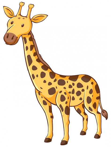 Free Clipart Of A giraffe
