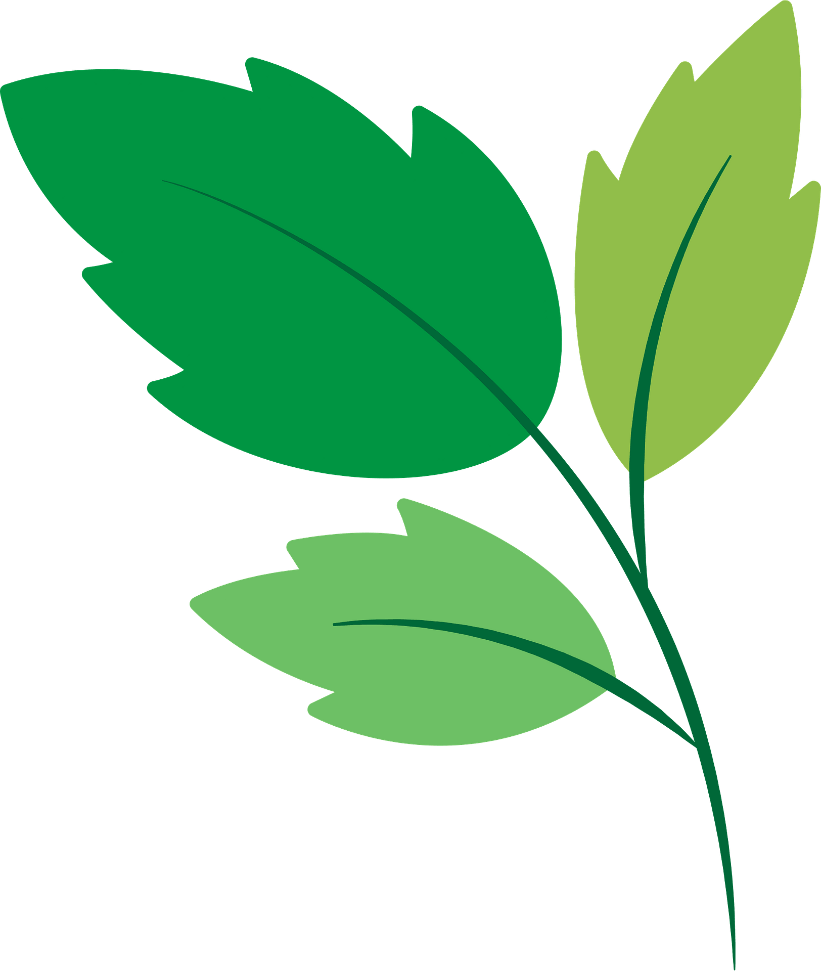 Beautiful Green Leaf Background​  Gallery Yopriceville - High-Quality Free  Images and Transparent PNG Clipart