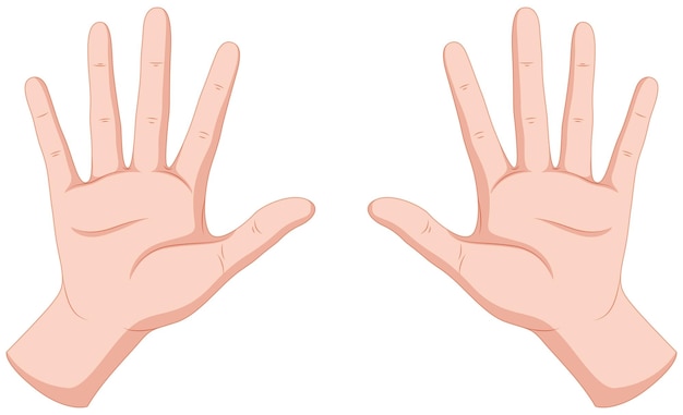 File:Hand left.svg | Clip art, Book clip art, Free hand drawing - Clip ...