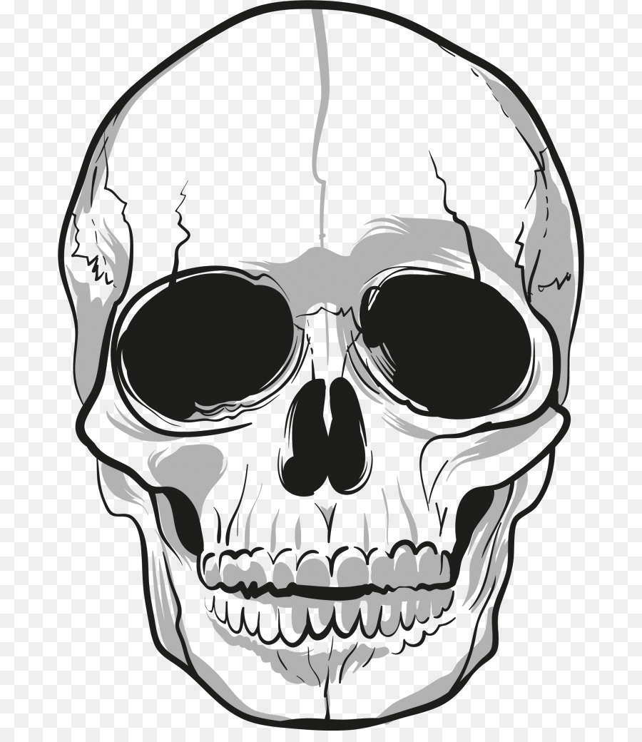 skull clipart