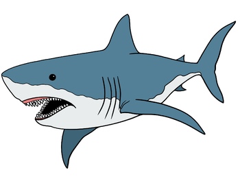 Clip Art Of Sharks | Shark art, Clip art, Shark - Clip Art Library