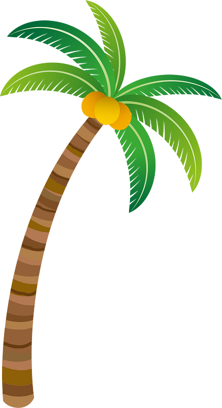 Palm Tree Clipart Md 