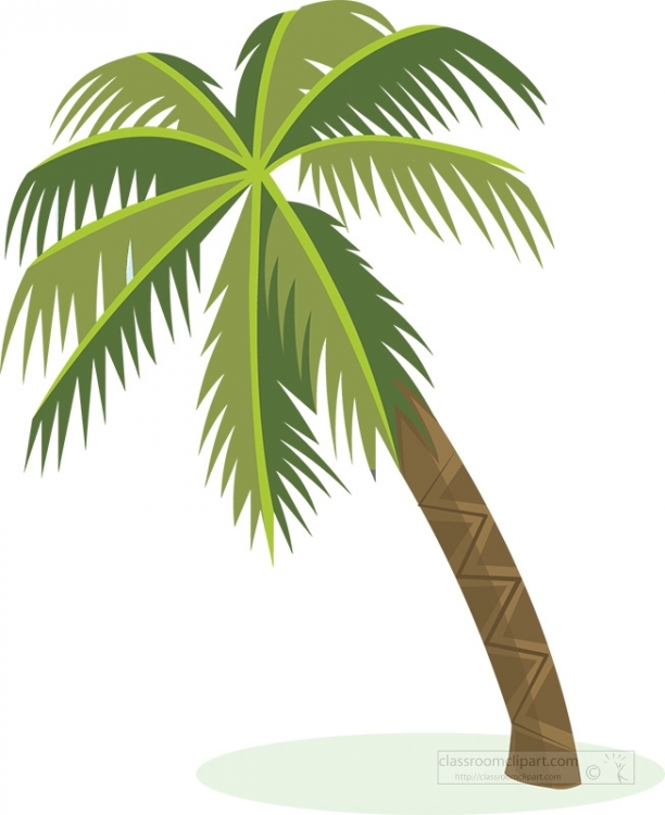 Single Palm Tree Clipart 2021a 34064 