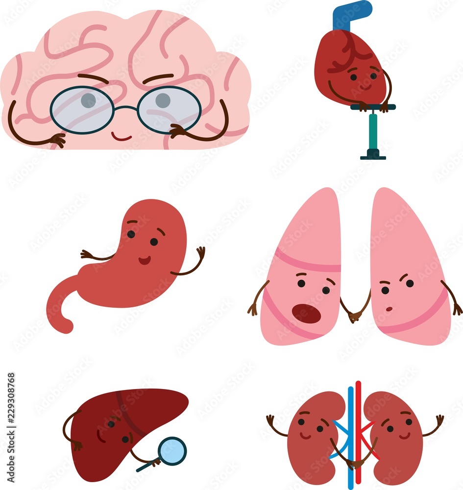 organs clipart
