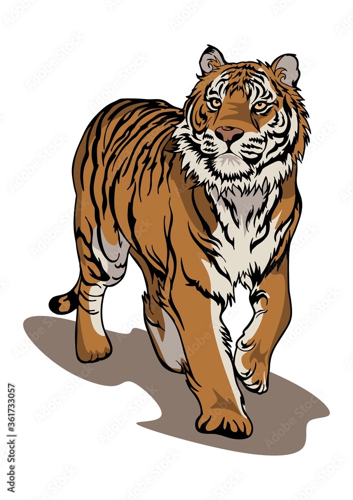 bengals clipart