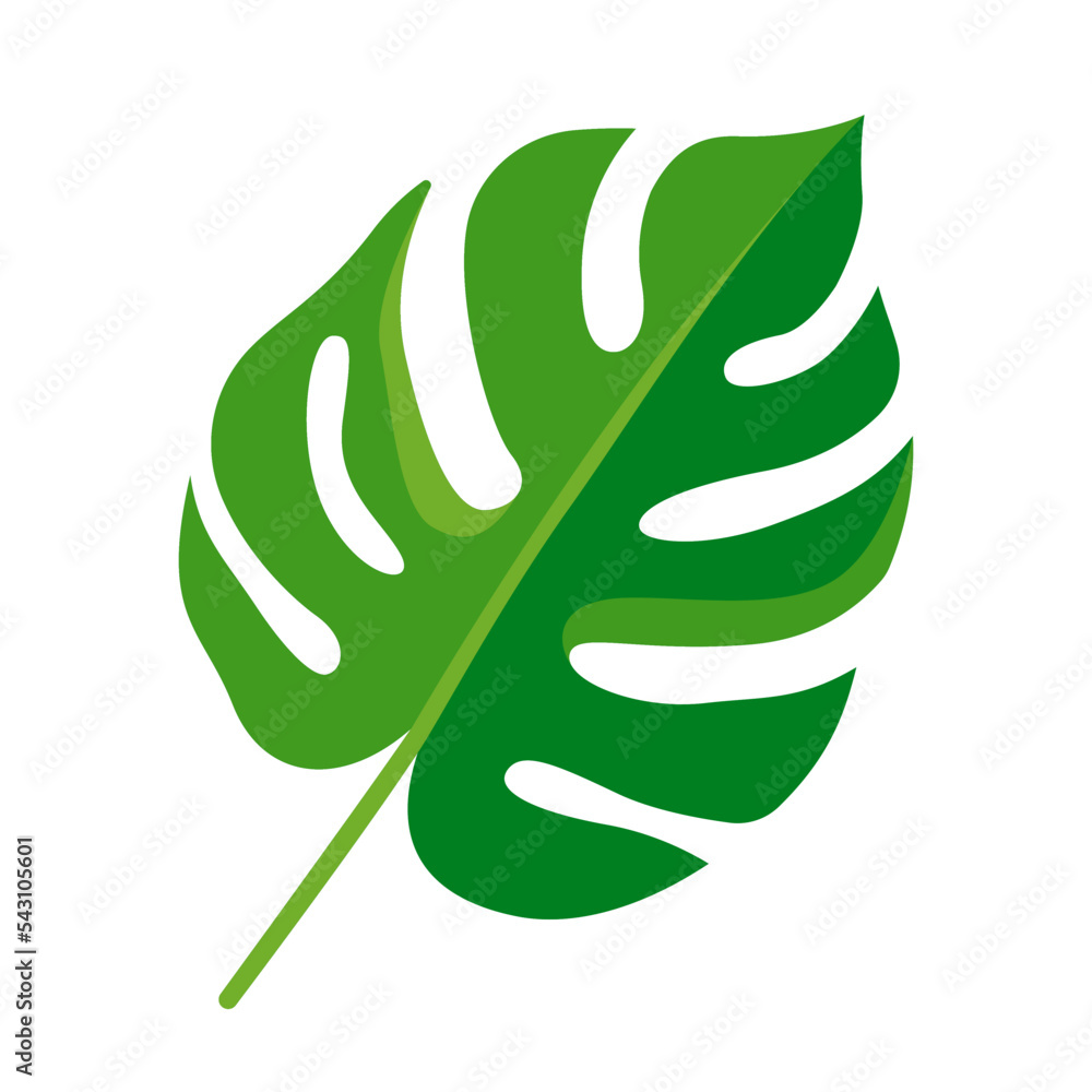 Monstera Tropical Leaf Illustration Stock Illustration Download Clip Art Library 