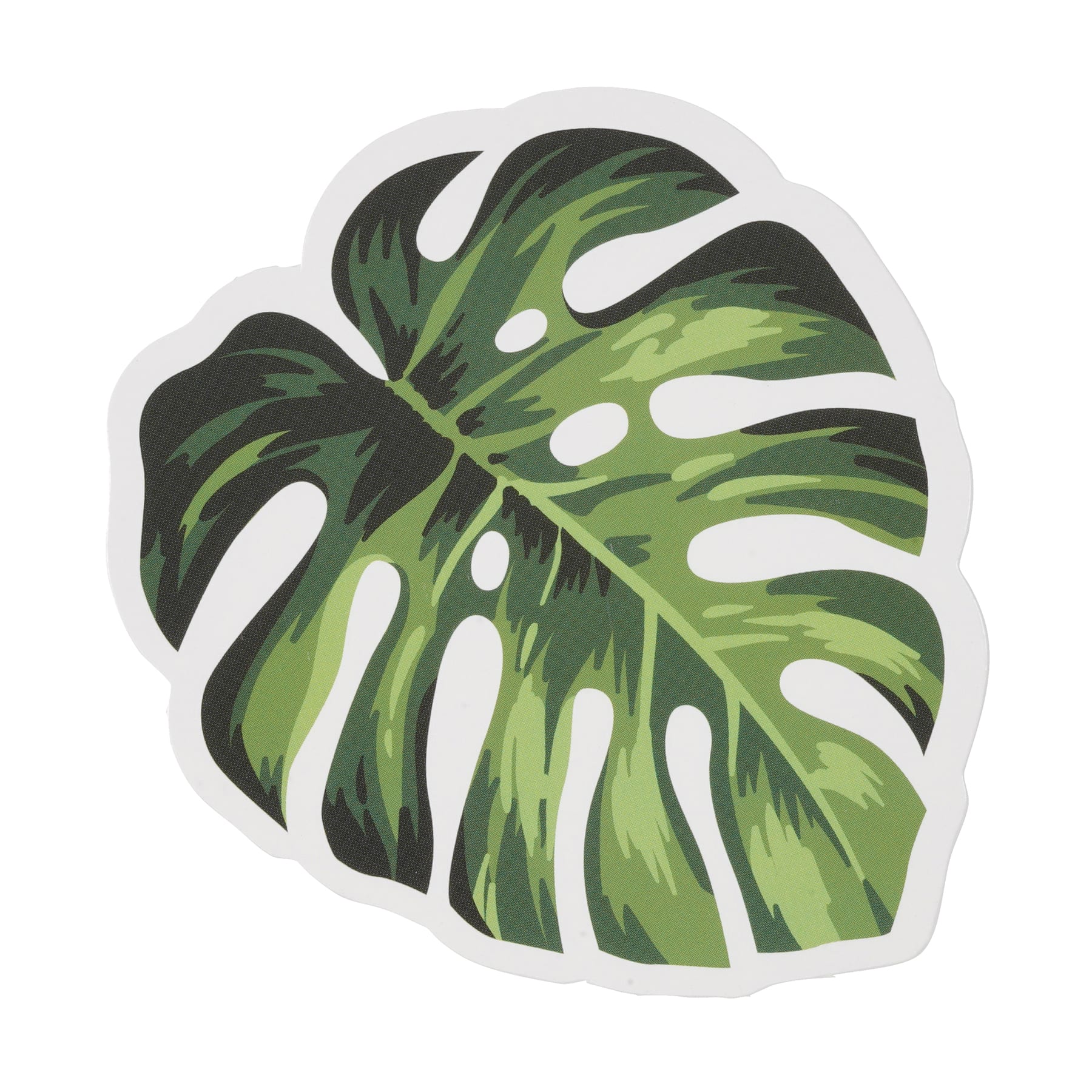 Monstera PNG Transparent Images Free Download, Vector Files