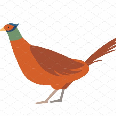 390+ Pheasant Flying Illustrations, Royalty-Free Vector Graphics 
