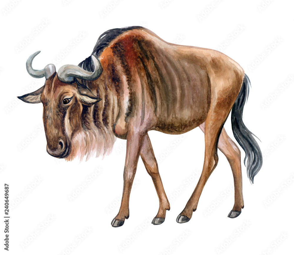 Wildebeest clipart images and royalty-free illustrations | Clipart.com