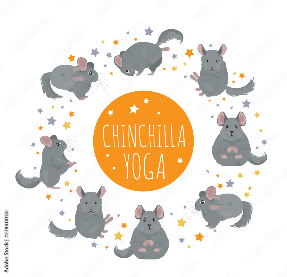 chinchilla clipart