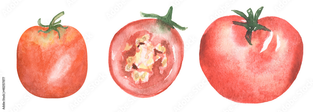 Sliced Tomato Stock Illustrations – 9,077 Sliced Tomato Stock 