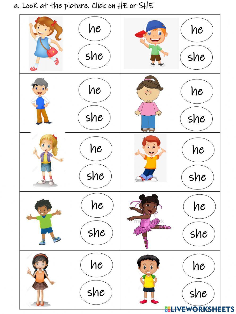 He She His Her English Y1 4013121