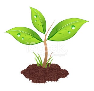 Pro Life Stock Illustrations – 1,673 Pro Life Stock Illustrations 