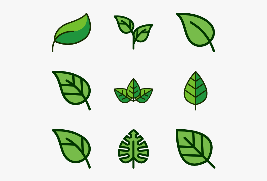 Векторные листья. Лист пиктограмма. Лист растения пиктограмма. Векторный листик. Leaves icon