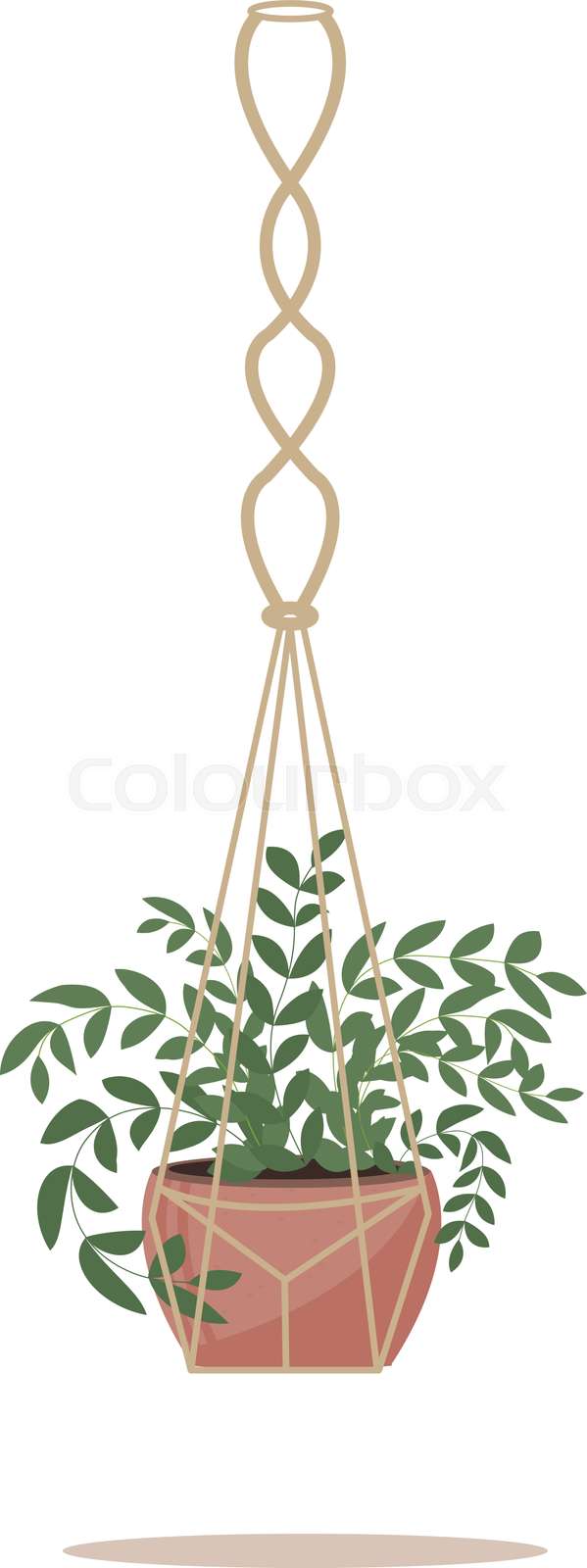 Watercolor Hanging Plant Clipart Green Indoor House Plant Etsy Clip Art Library