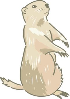 prairie dog clipart