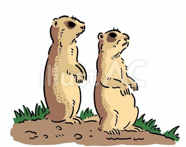prairie dog clipart