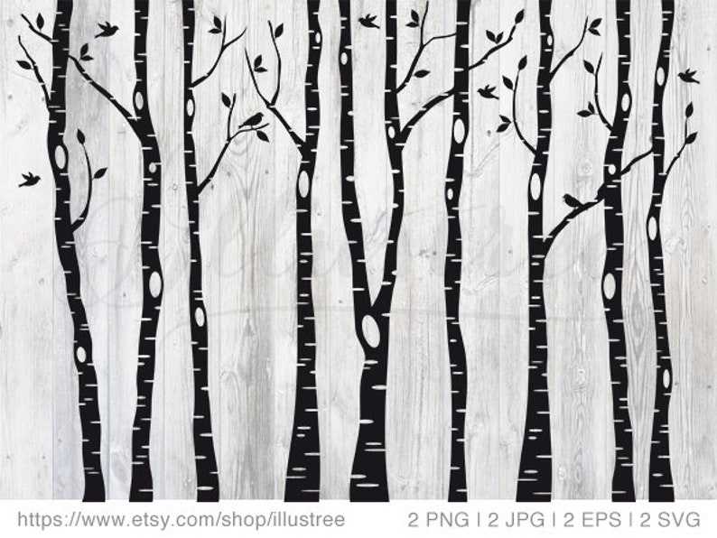 1,224 Birch Tree High Res Illustrations - Getty Images