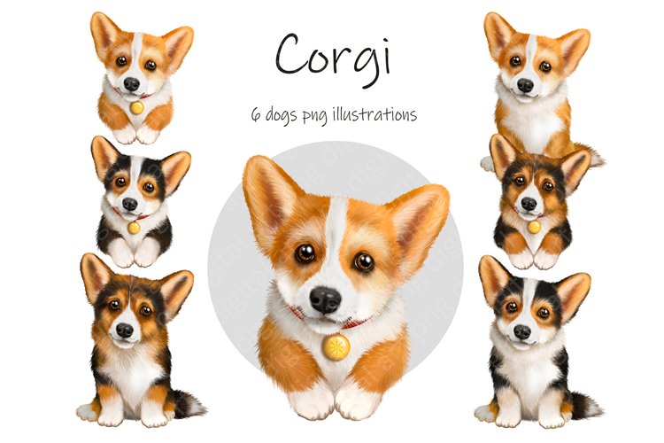corgi clipart