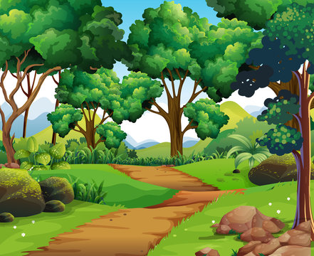 forest clipart