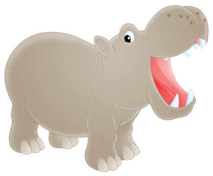 hippo clipart