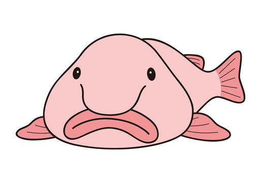 Blobfish - Free animals icons - Clip Art Library