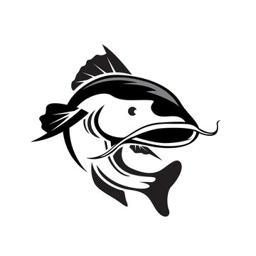 Catfish Stock Vector Illustration And Royalty Free Catfish Clipart 