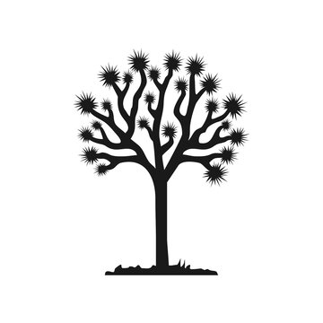 Premium Vector | Joshua tree black silhouette simple vector - Clip Art ...