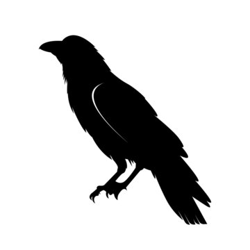 7,400+ Raven Illustrations, Royalty-Free Vector Graphics &amp; Clip 