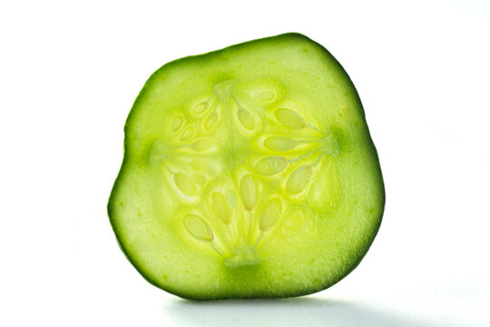 Quarterly Owner Bonus! — The Dill Pickle Food Co-op