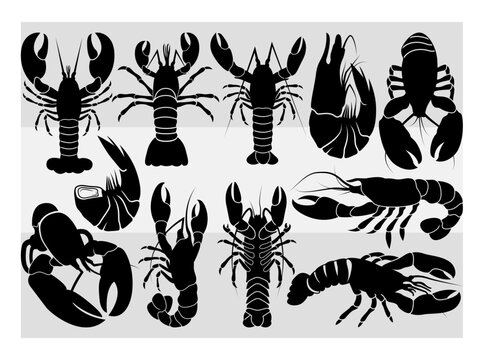 Red Claw Crayfish Black And White Stock Illustration - Download 