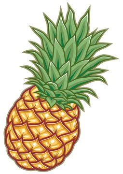 FREE Pineapple Clipart ( Royalty-free) | Pearly Arts - Clip Art Library