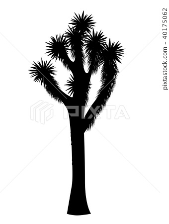 Joshua Tree Linear Icon Yucca Brevifolia Desert Plant Palm Tree 