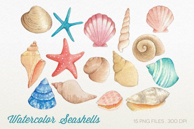 Watercolor Seashells, Sea Clipart Graphic by NoviArt · Creative