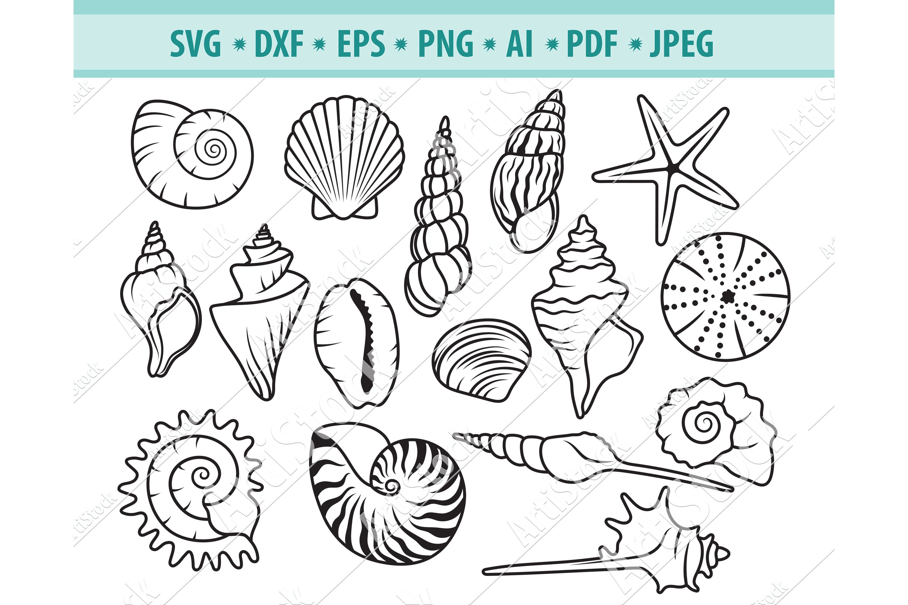 seashells clipart