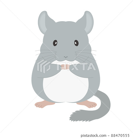 chinchilla clipart