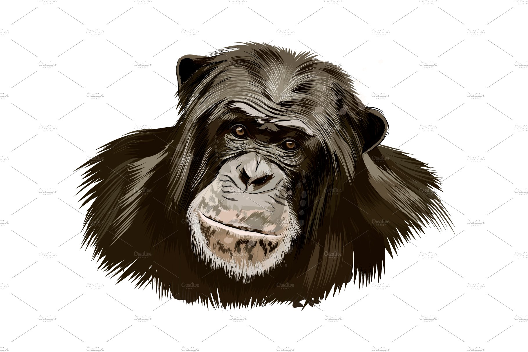 Happy Chimpanzee Clip Art at Clker.com - vector clip art online - Clip ...