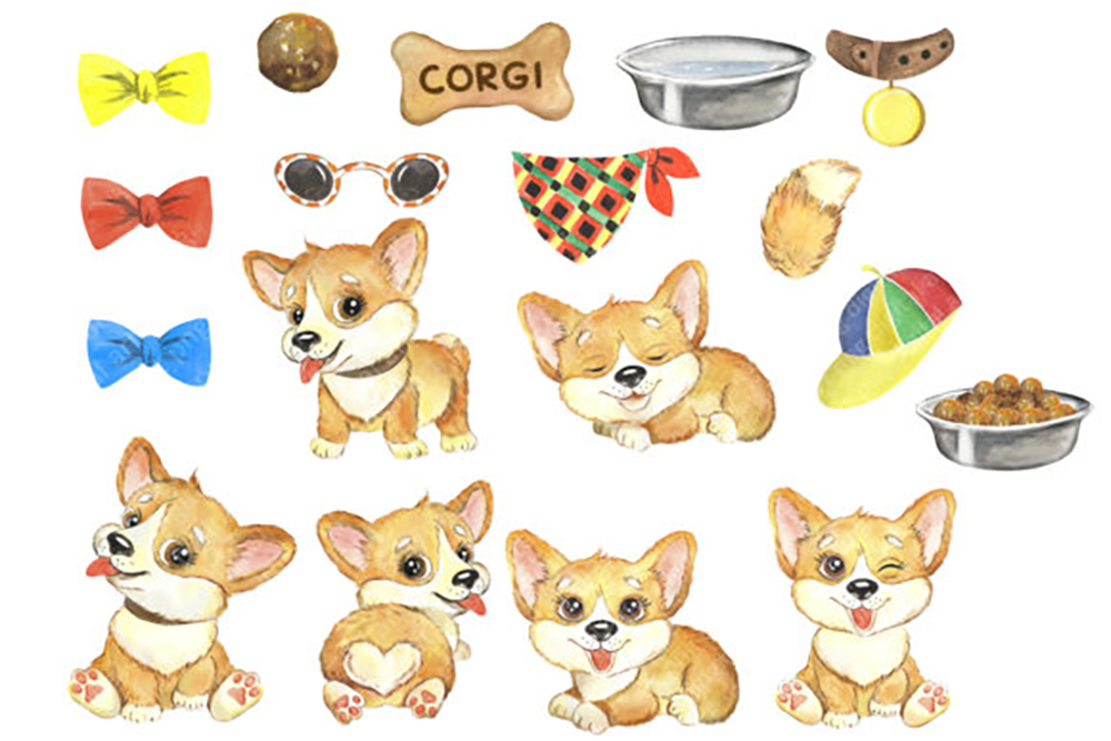 corgi clipart