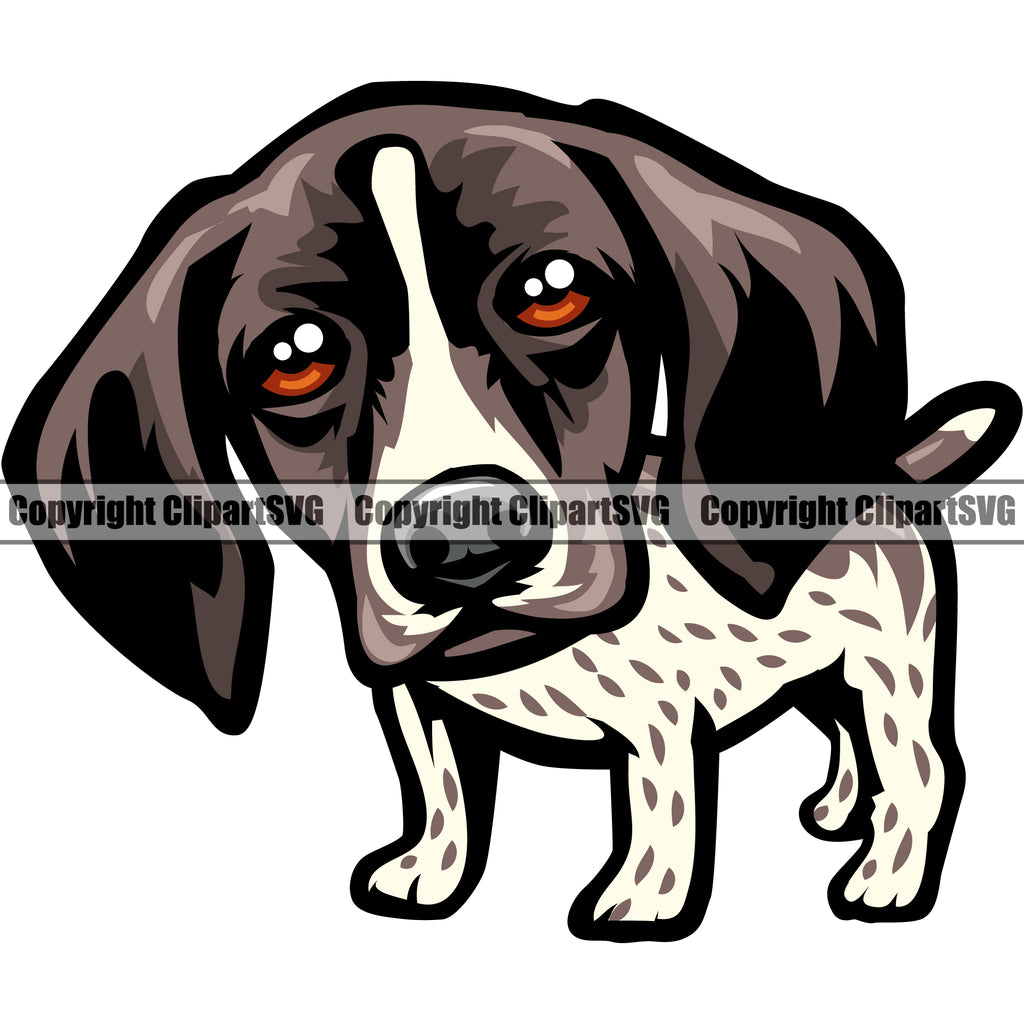 4 Watercolor German Pointer Clipart. German Shorthaired PNG - Clip Art ...